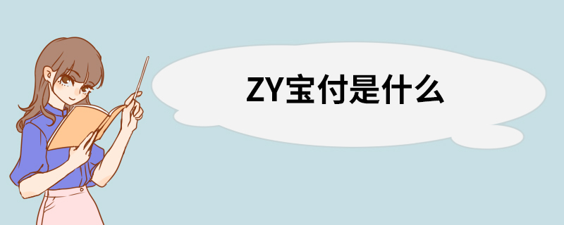 ZY宝付是什么