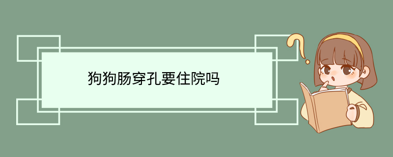 狗狗肠穿孔要住院吗