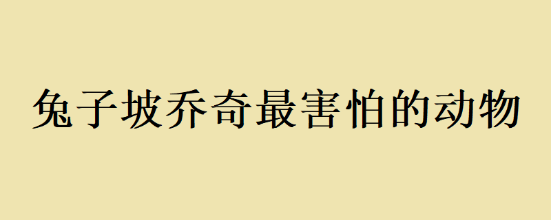 兔子坡乔奇最害怕的动物 兔子坡乔奇最害怕的是什么动物